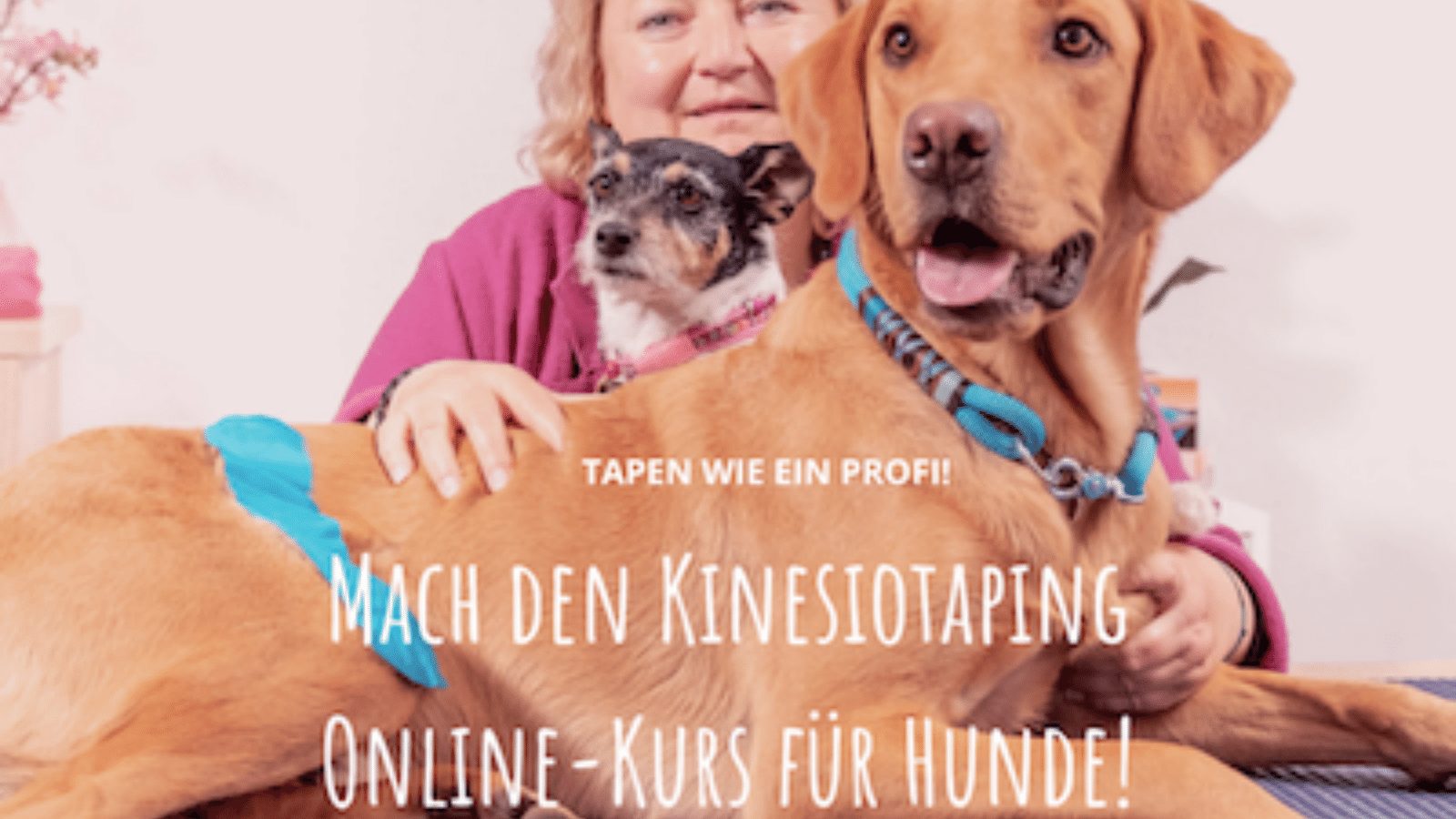 Kinesiotaping für Hunde