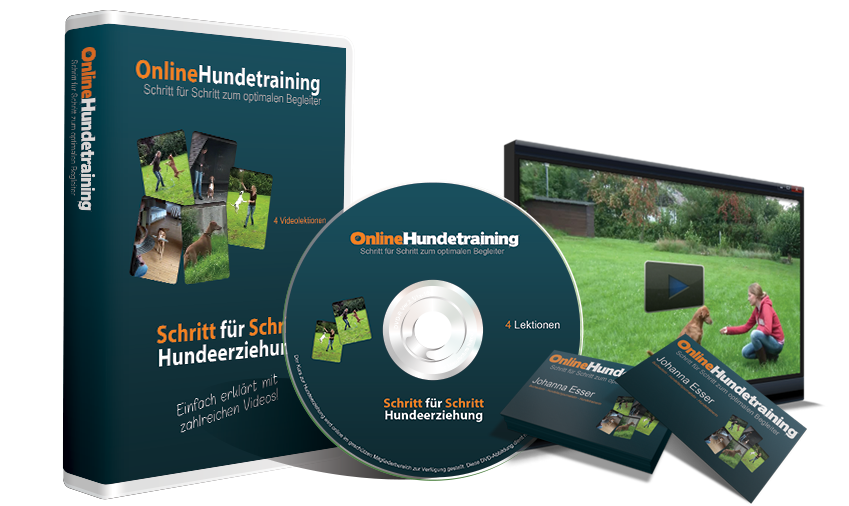 Online Hundetraining