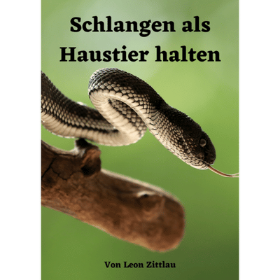 Schlangen als Haustier halten